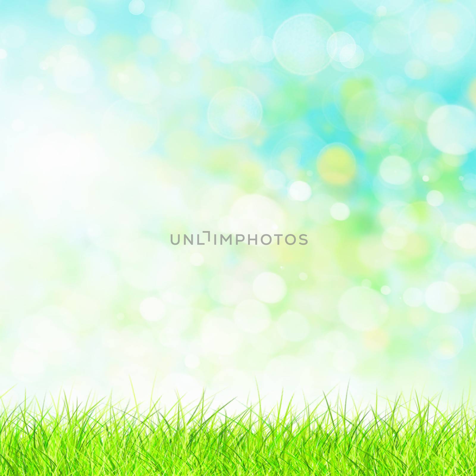 Green summer meadow with sun glare and rays