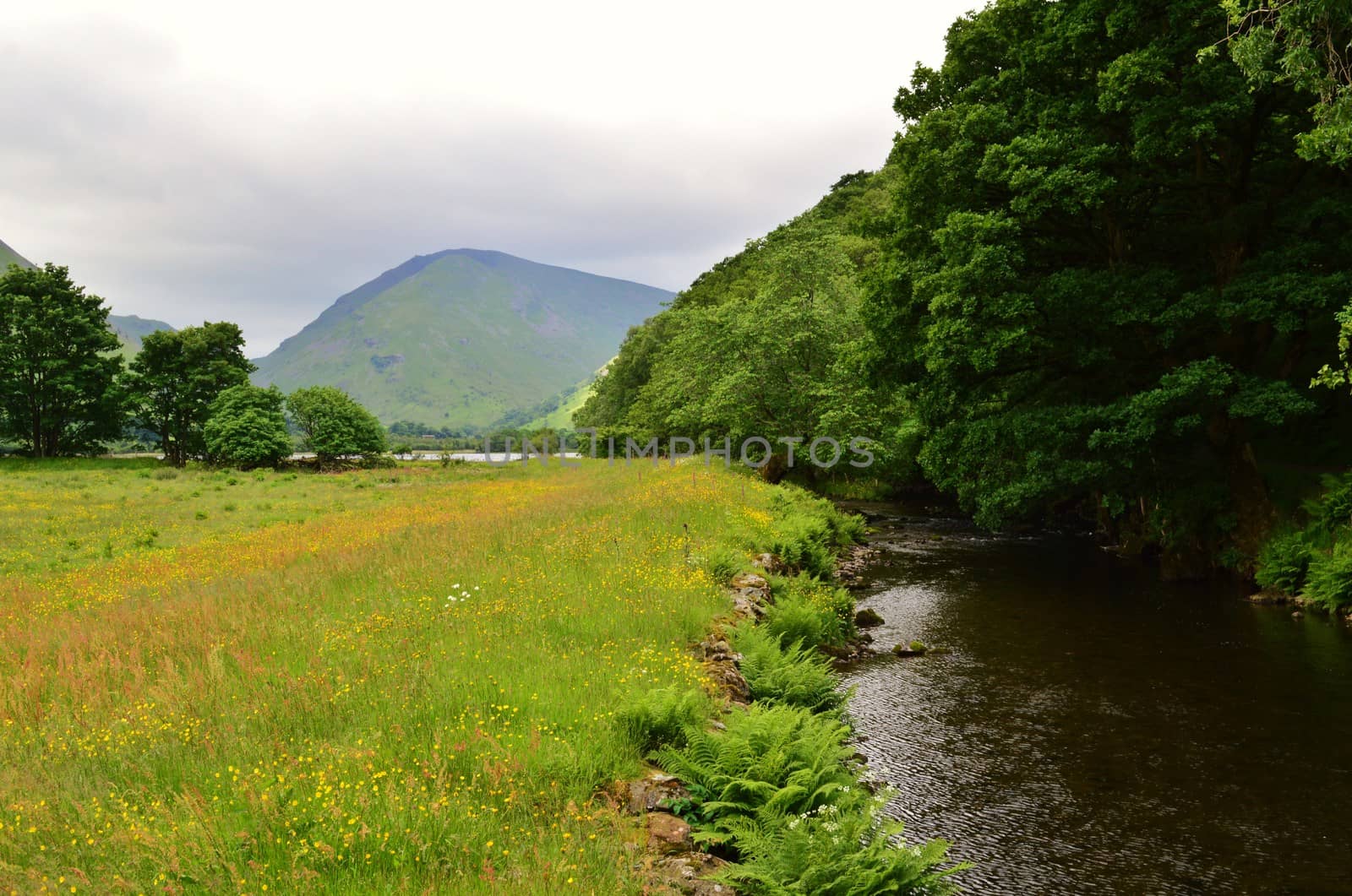 A Summer landscape photographed in the English Lake District.