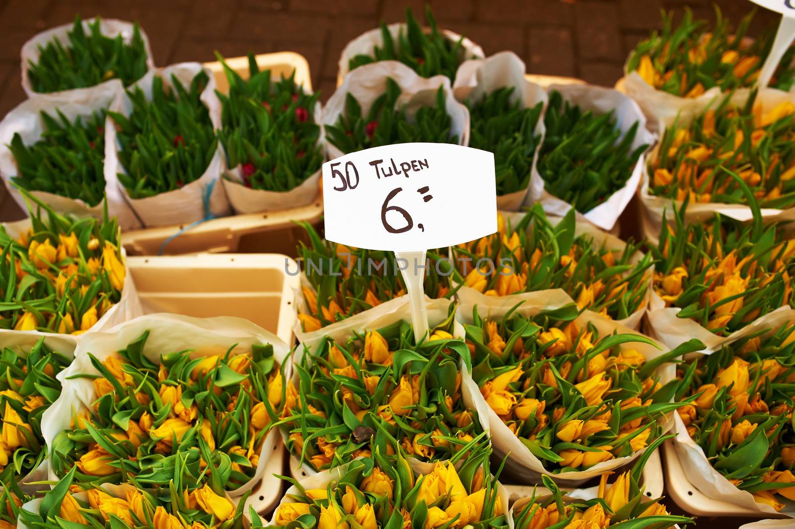 Amsterdam flower market close up details