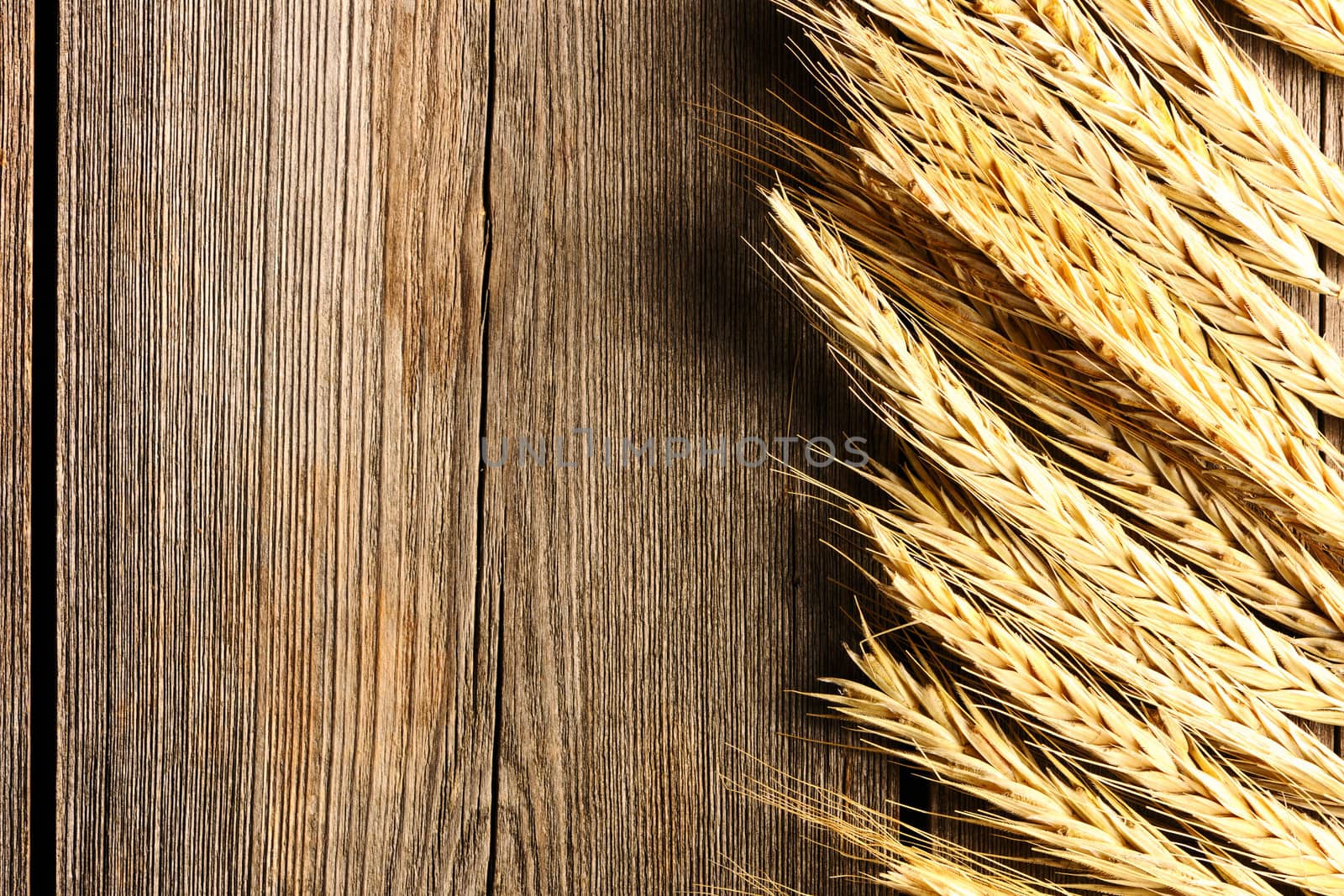 Rye spikelets on wooden background