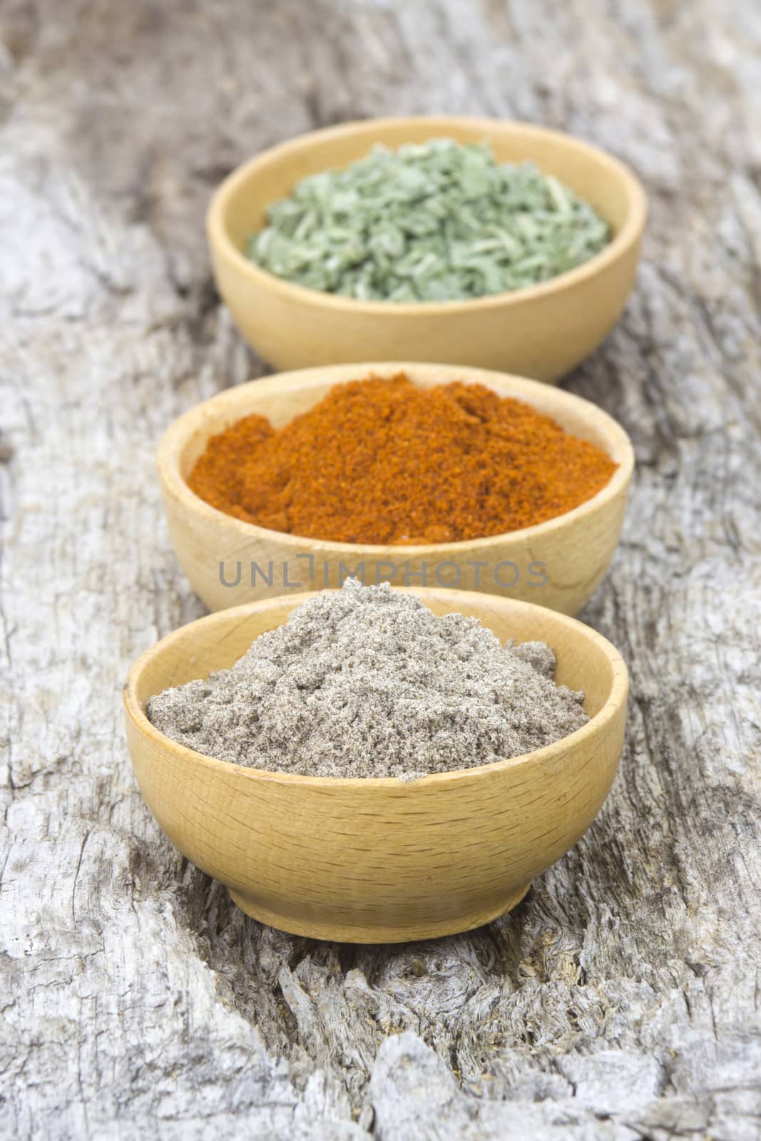 spices - cardamon, chili, salvia by miradrozdowski