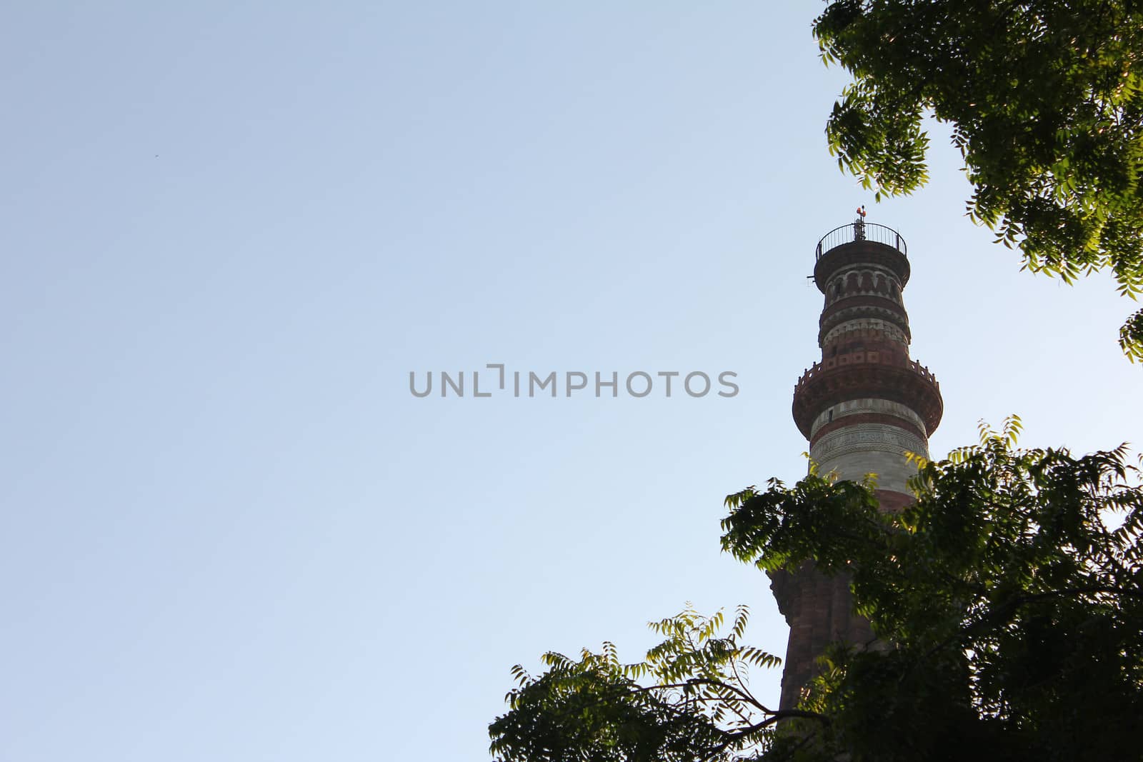 qutub minar with tree leaves
