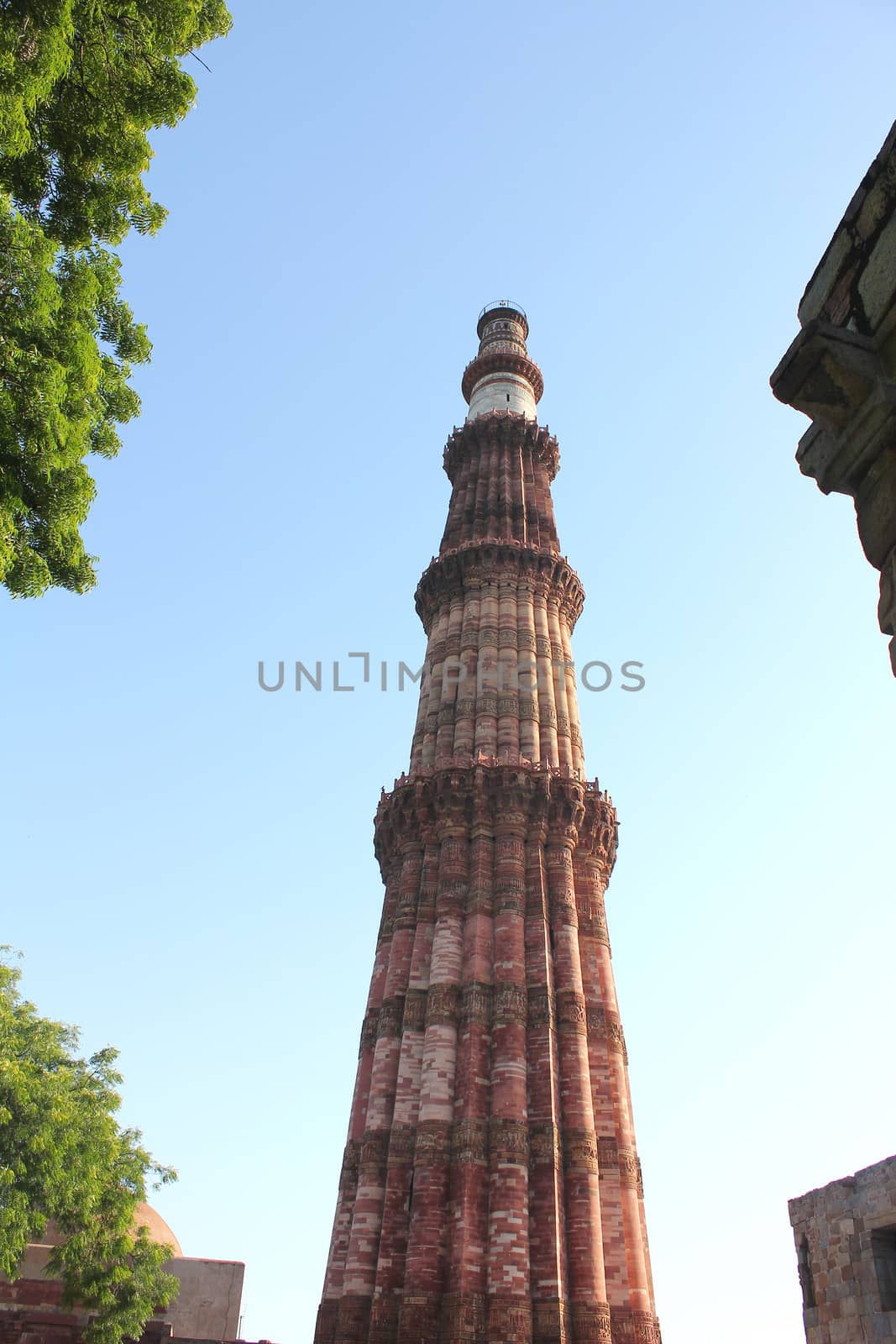qutub minar surrounded by tree leaves and wall