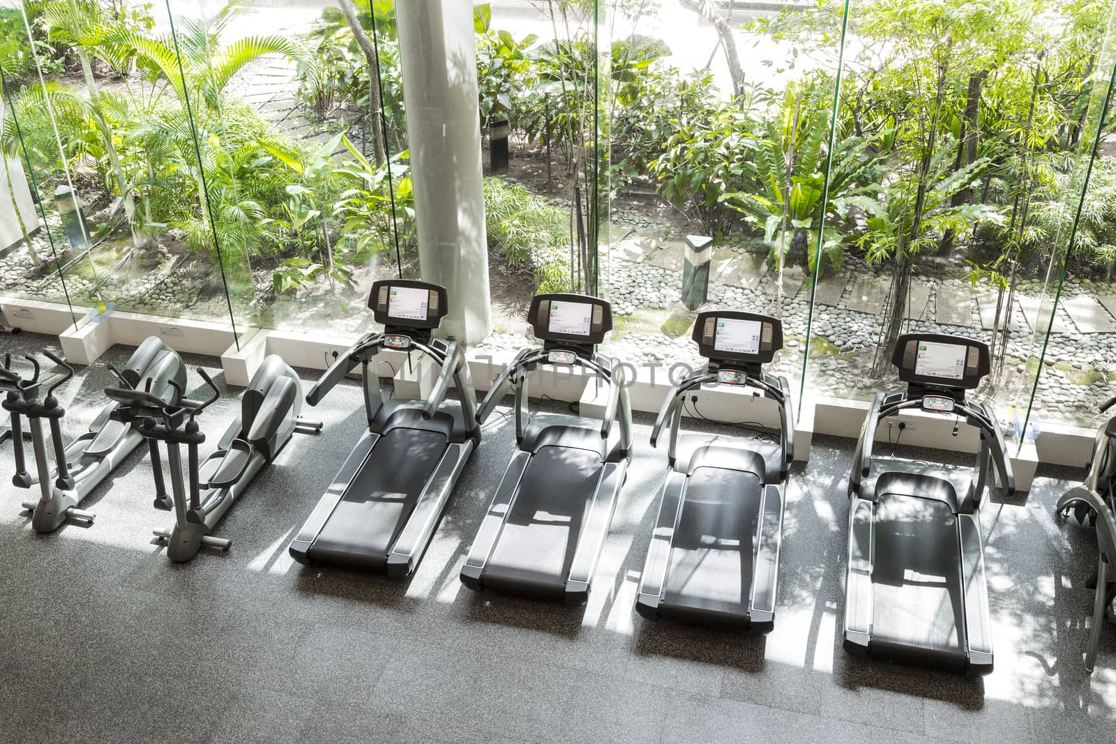 Interior of a club gym with a greenery infront.