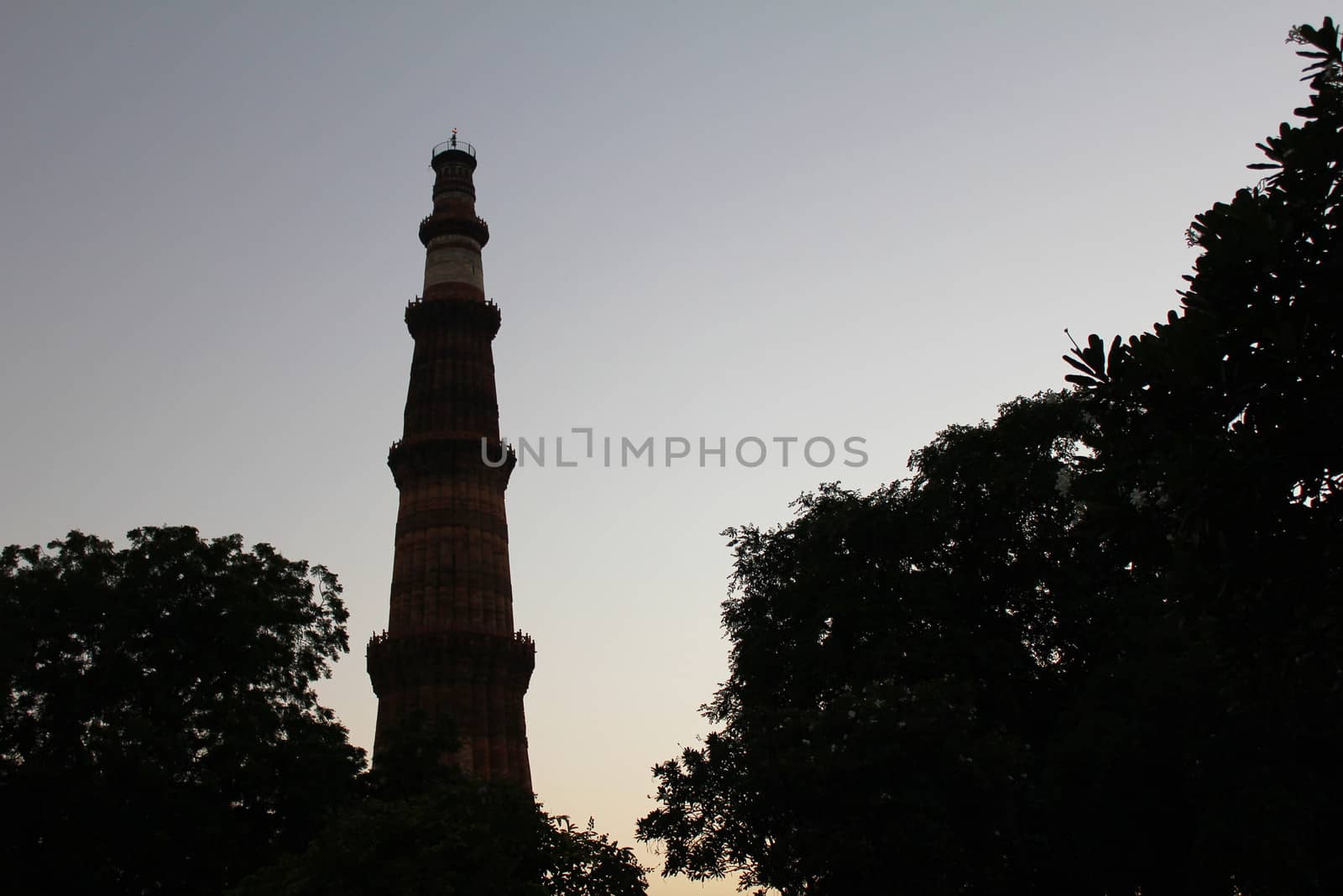 qutub minar stand with tree in evening