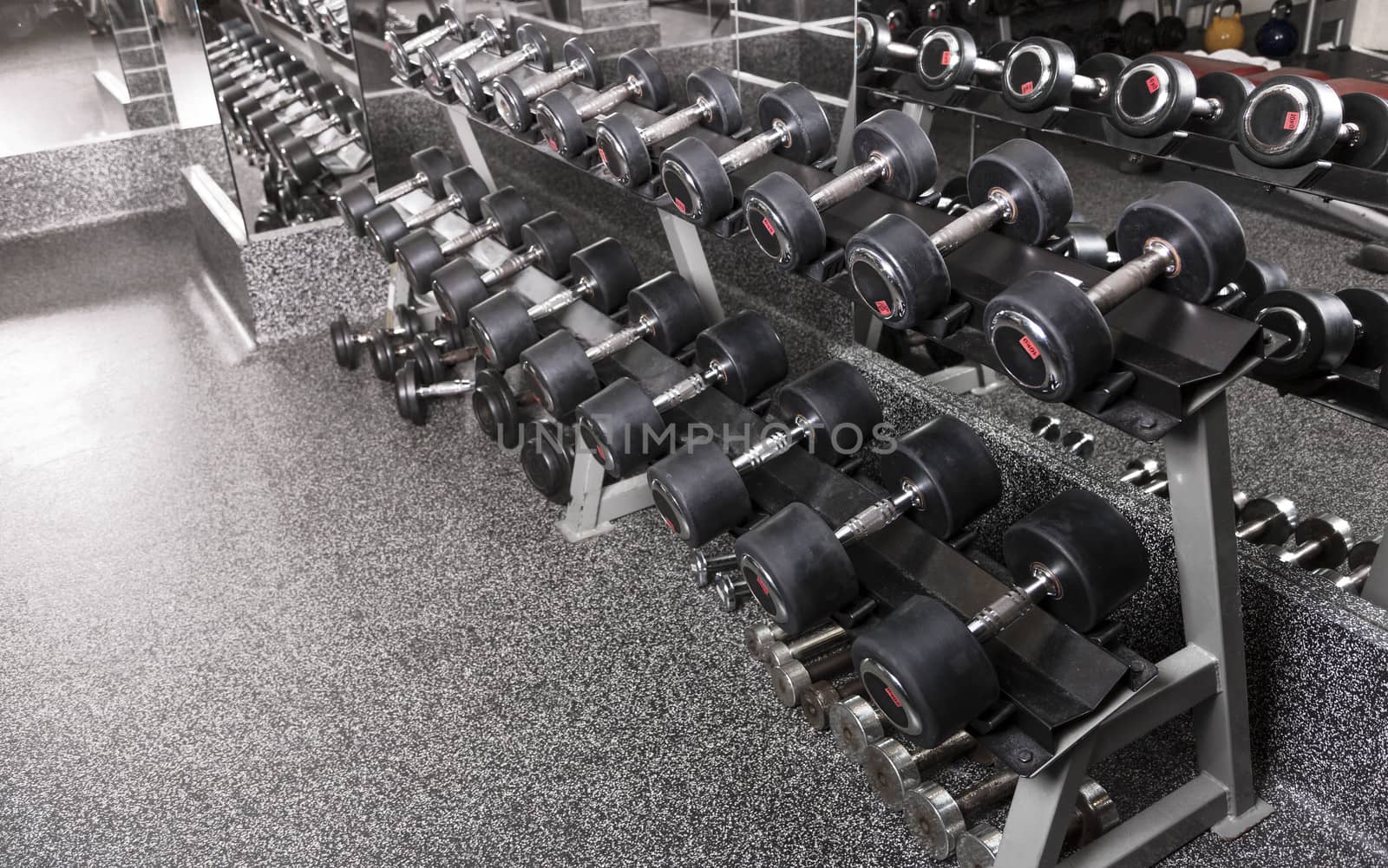 A rack of dumbbells in a gym.