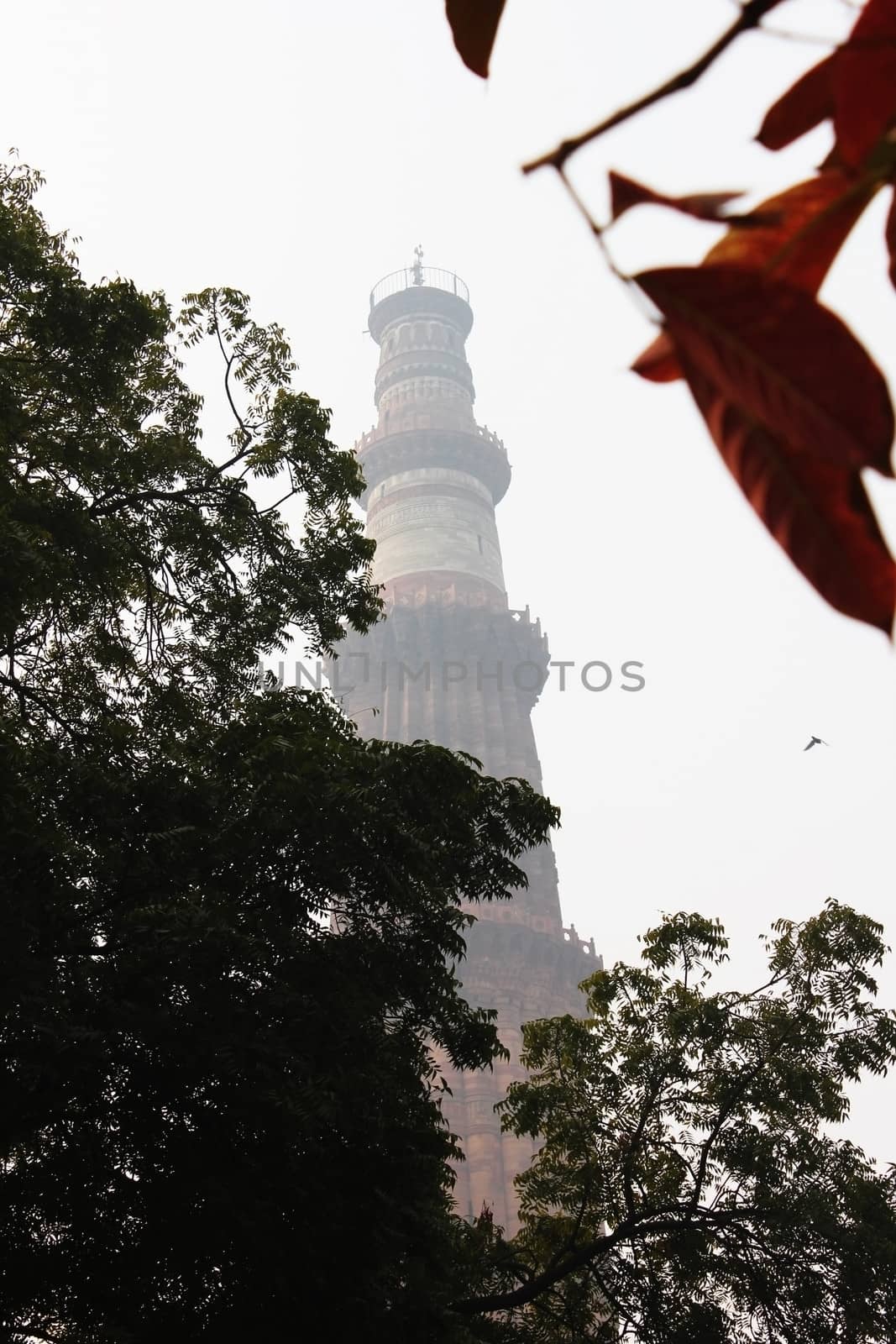 longest tower of delhi, qutub minar behind trees