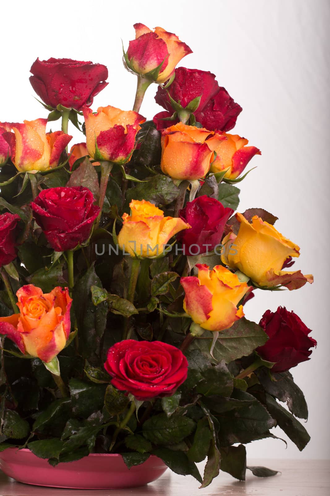 Rose bouquet by derejeb