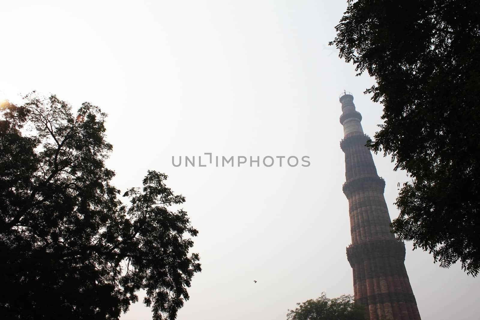 qutub minar with trees by motionkarma