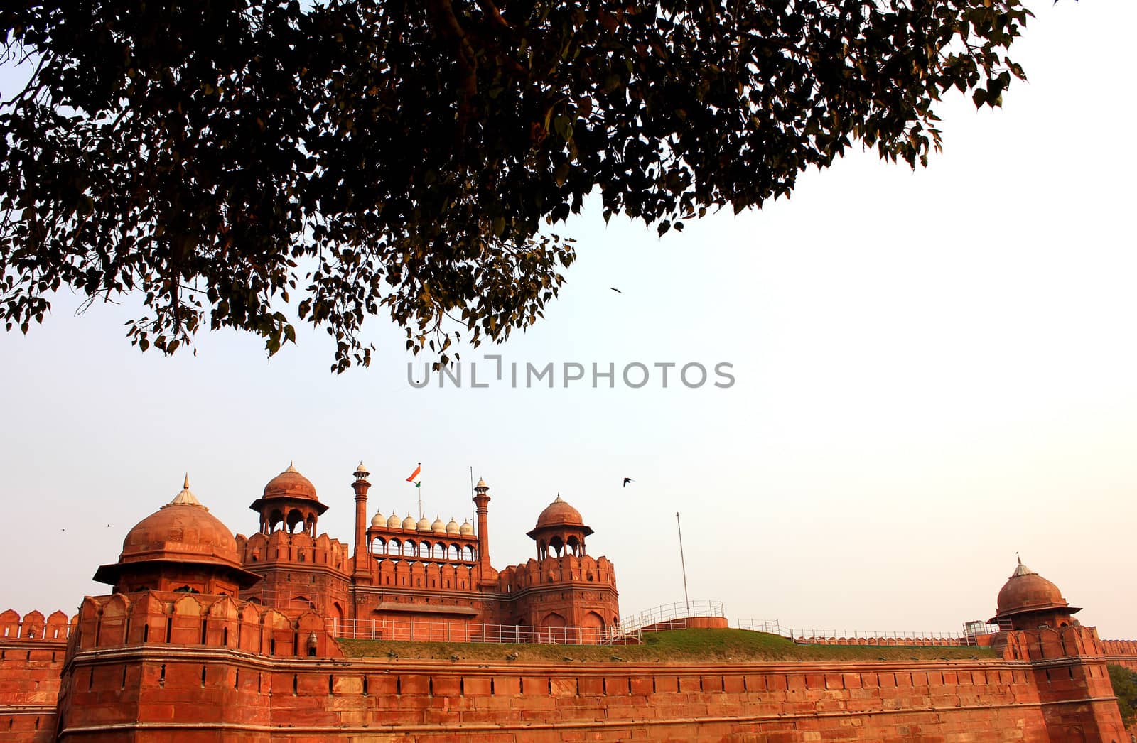 red fort with tree leaves