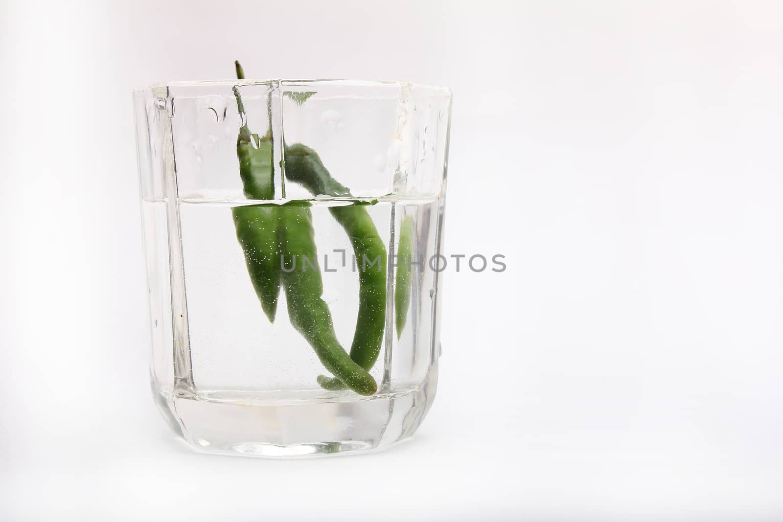 green chilli in water