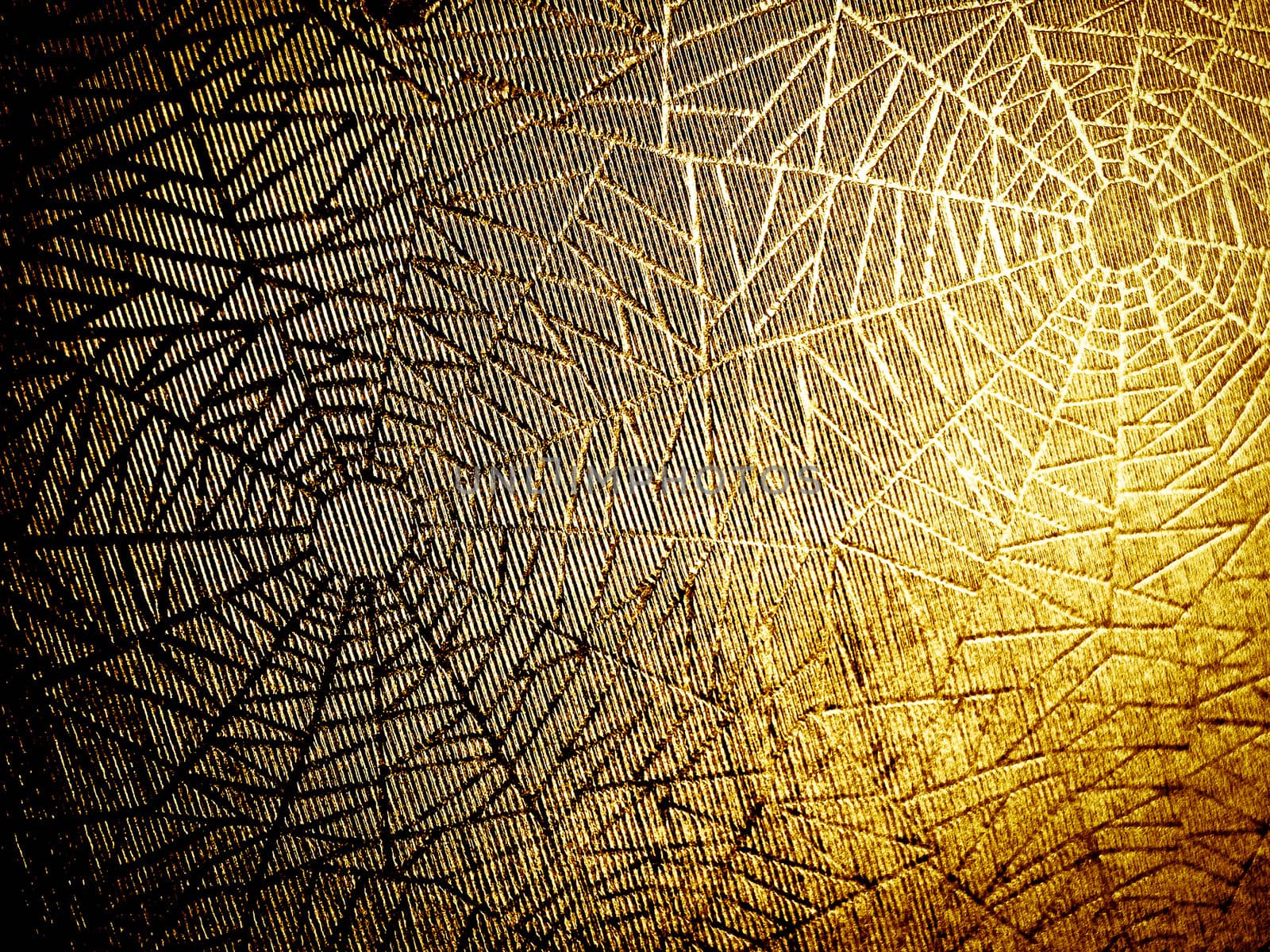 cobwebs by davincidig