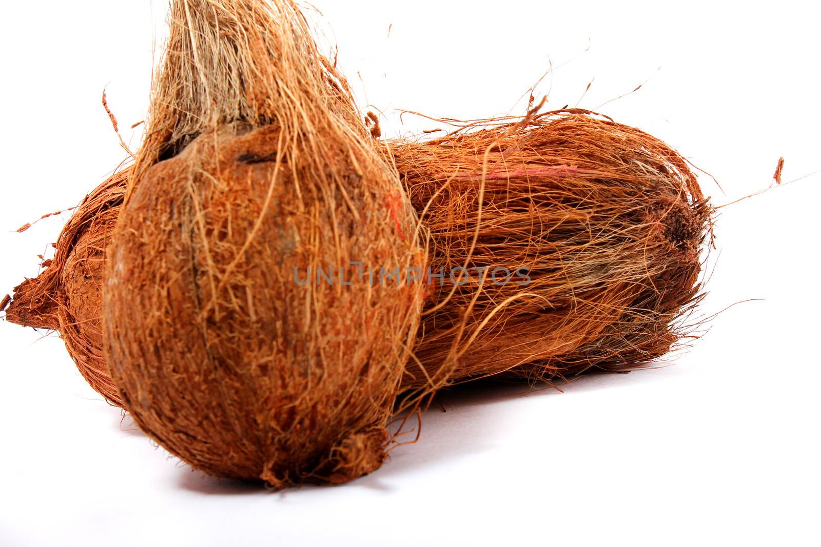 two coconut isolated over white