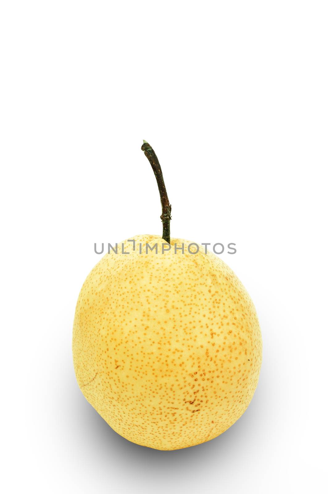 Fresh oriental pear on a white background 