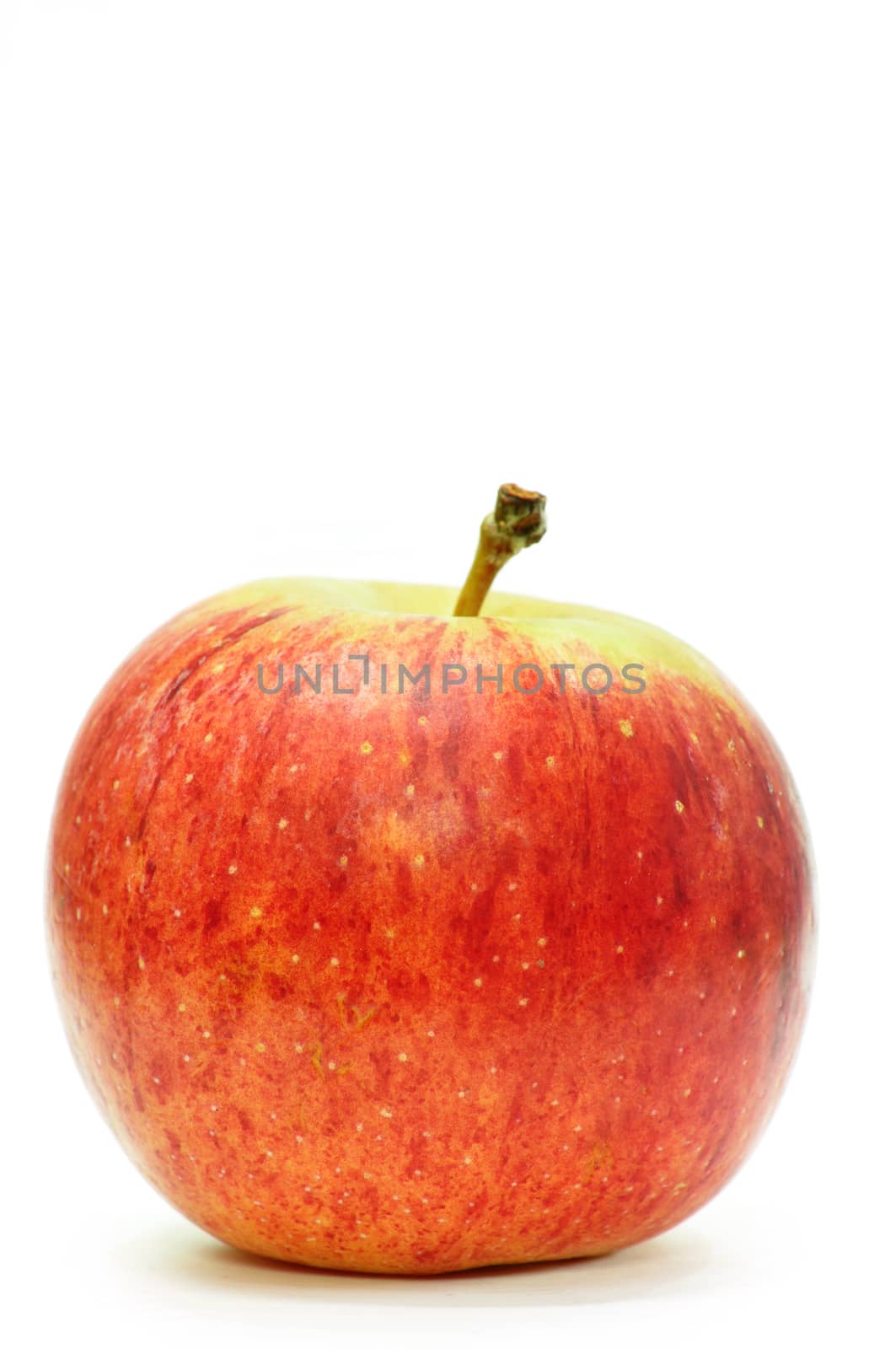 Red Juicy Apple on white background for use as Background
