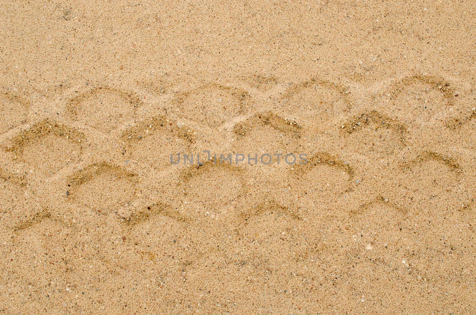heavy machine track mark remain sand background by sauletas