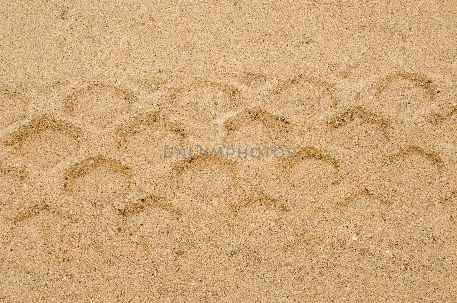 closeup of heavy machine track mark remain on sand pit quarry ground after rain background.