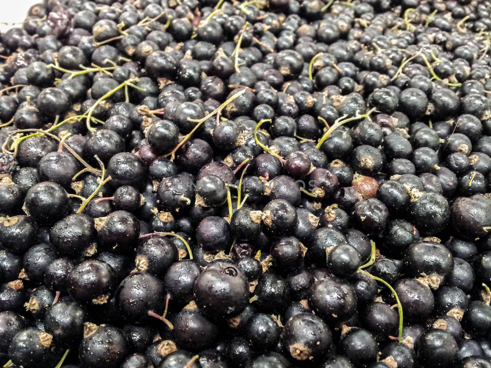Closeup of blackcurrant in loose weight, at marketplace