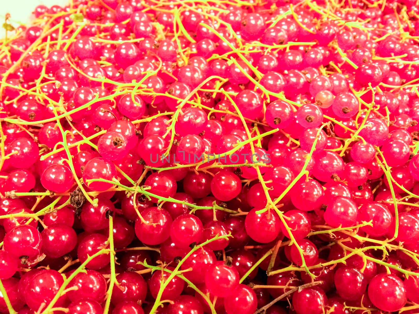 Redcurrant in a bunch by Arvebettum