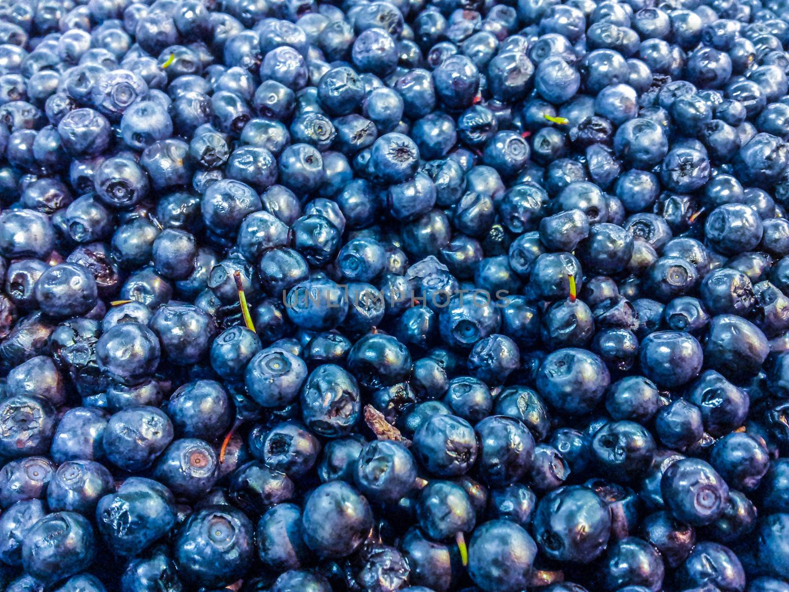 Closeup of blueberries in a pile at a marketplace