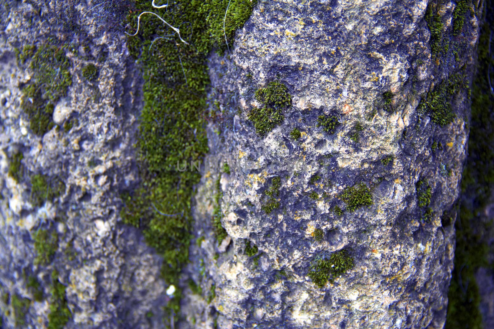 old stone  with green moss