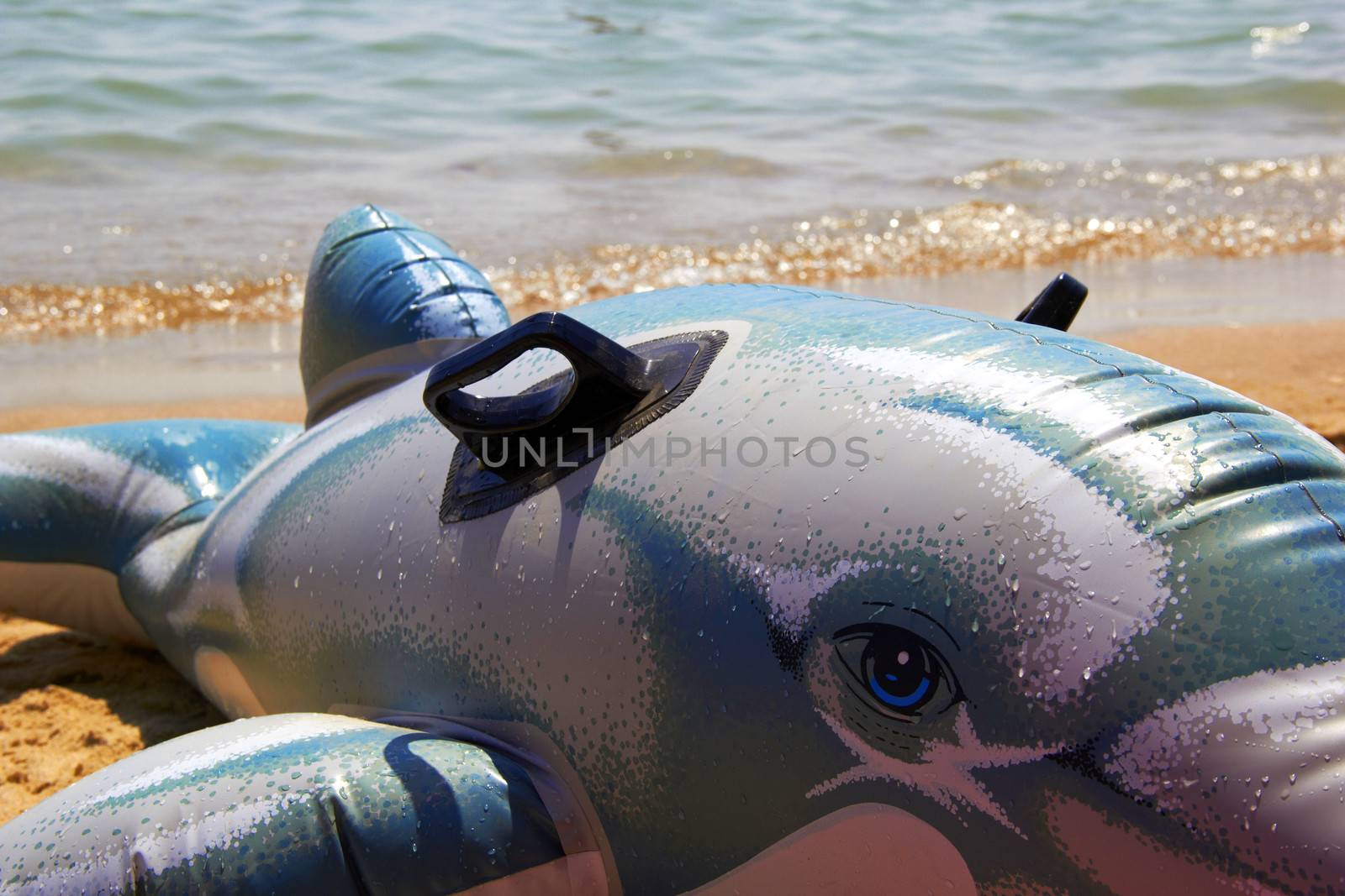 inflatable toy dolphin on beach of sea