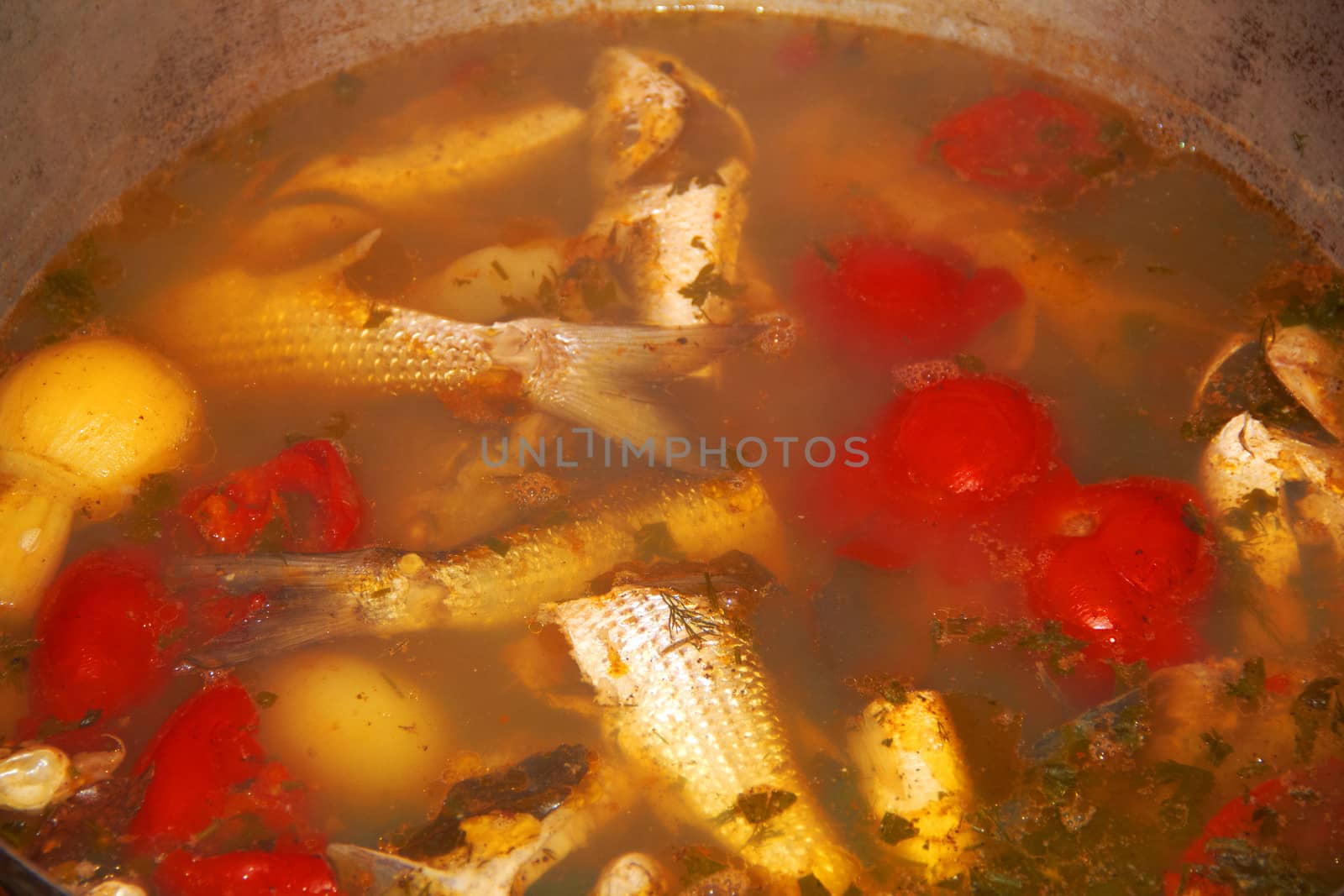 hot fish soup in the cauldron