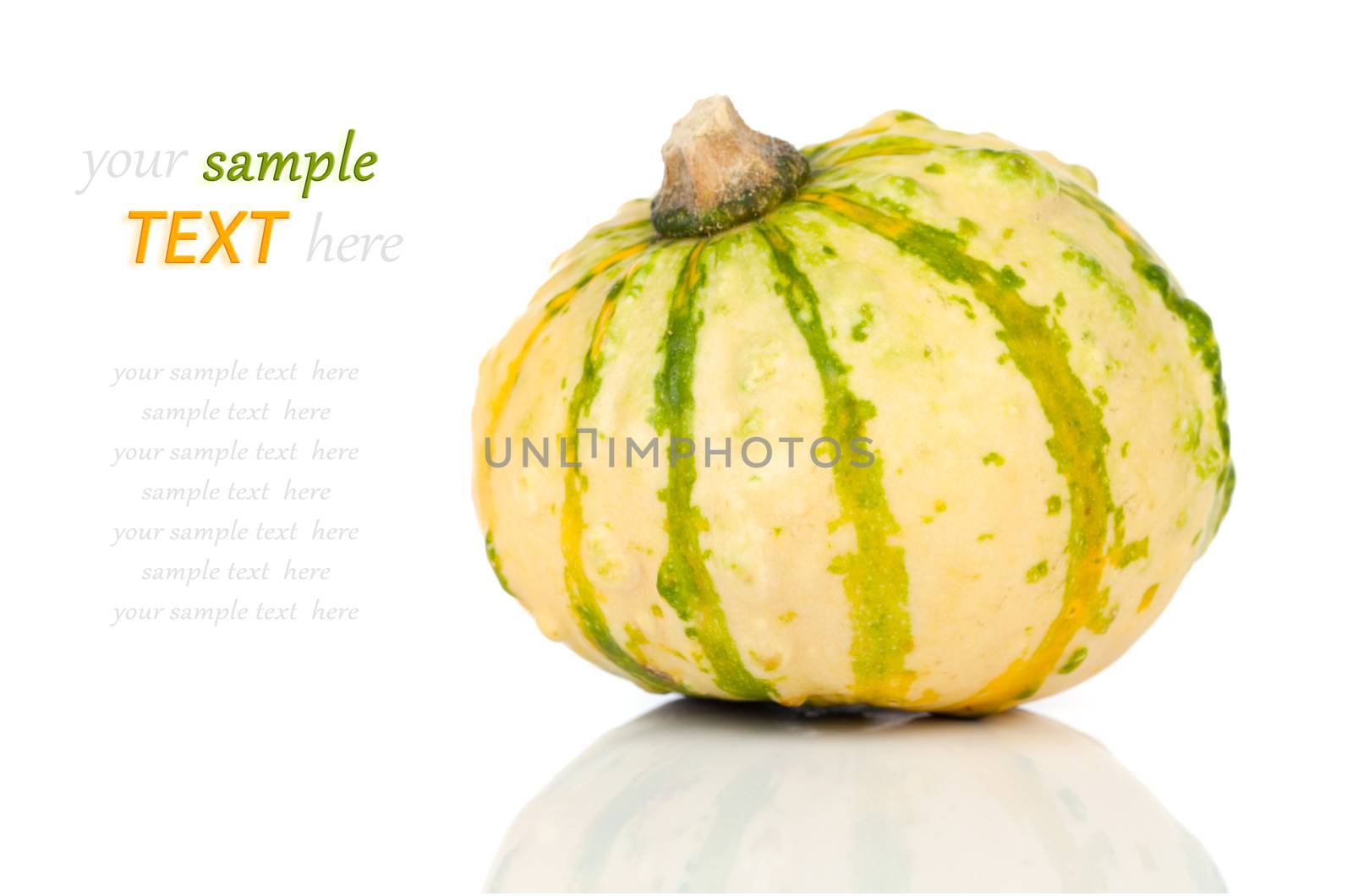 mini pumpkin isolated on white background