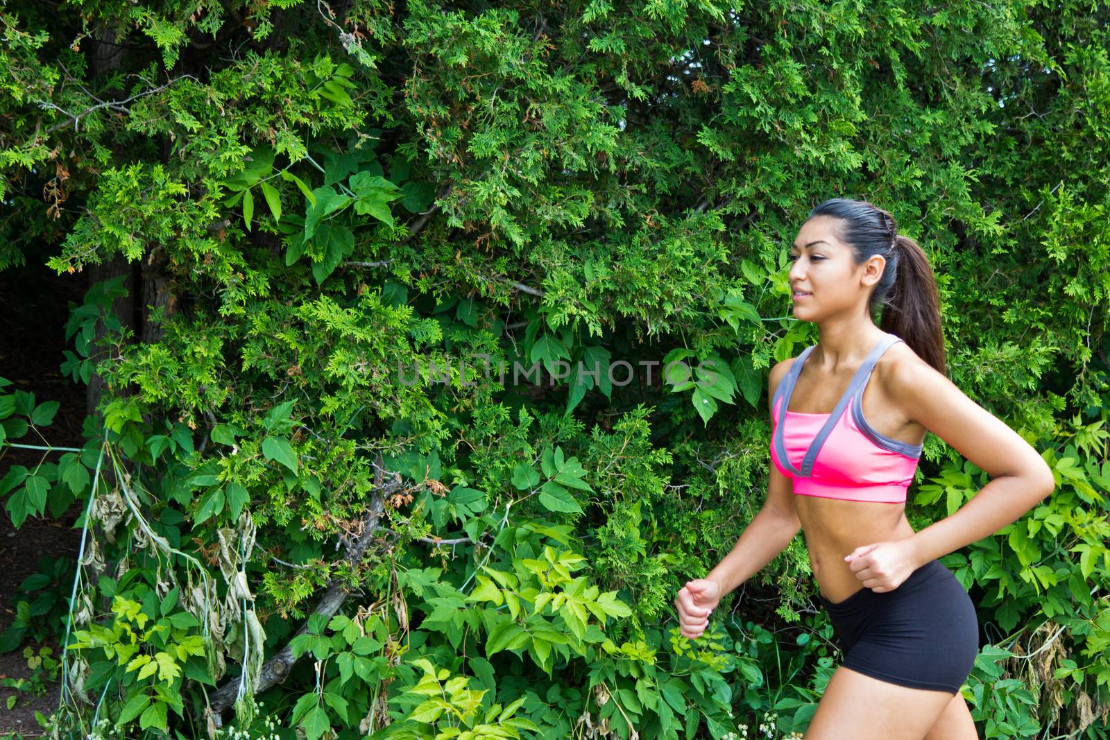 Fit woman running on the nature trail