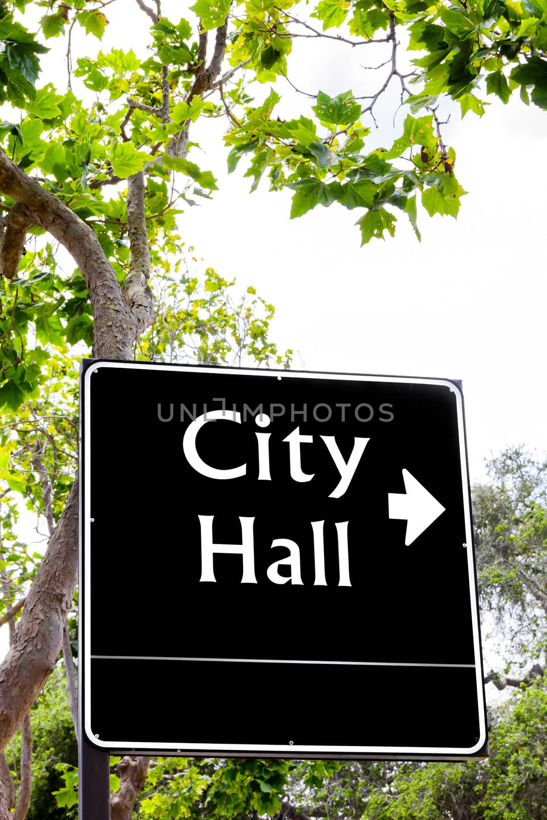 Sign Pointing in direction of City Hall Vertical Image