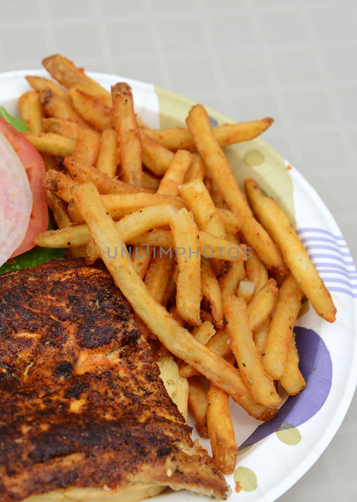 blackened fish sandwich and french fries on a plate for a picnic