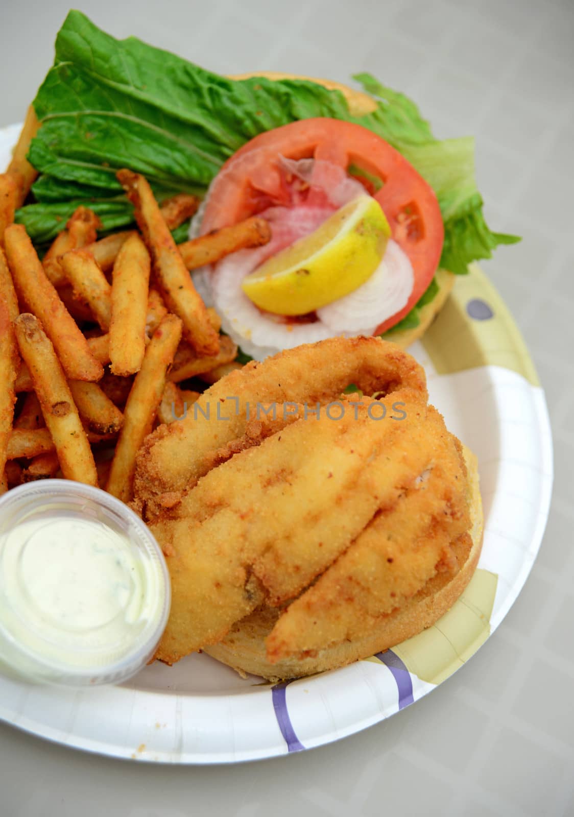 fried fish sandwich and french fries on a plate