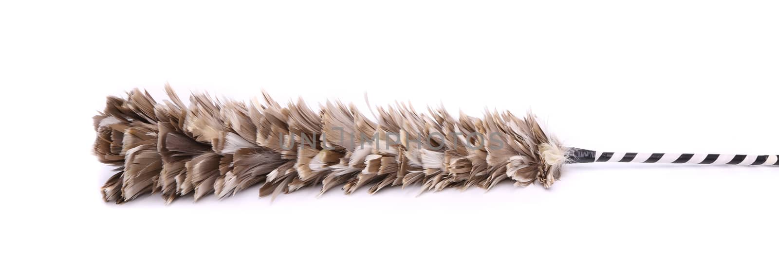 broom to sweep dust feather on white background