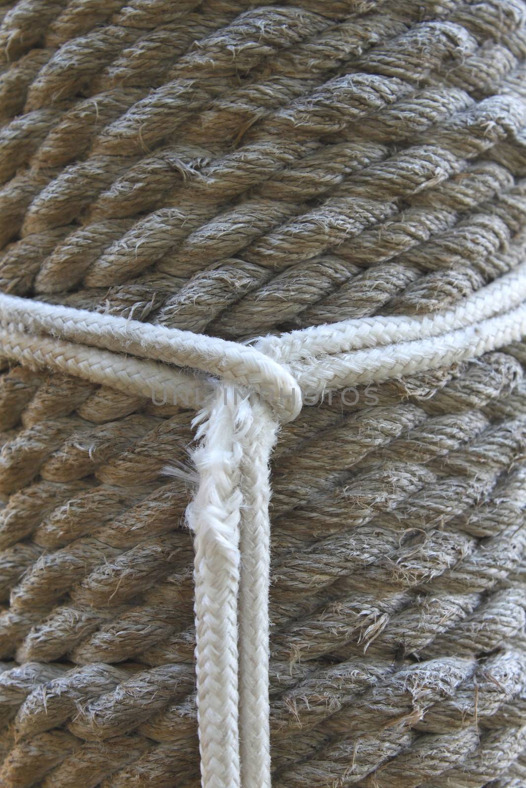 Line as a noose on the background of hemp rope. Background.