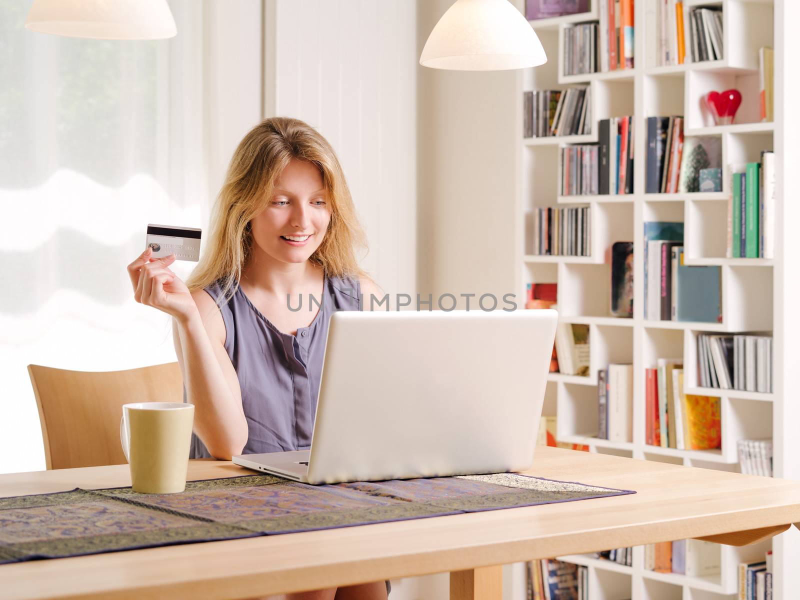 Shopping online with a credit card by sumners