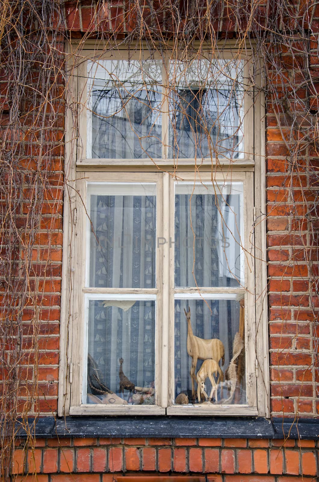 Old window in the fortress of Suomenlinna.