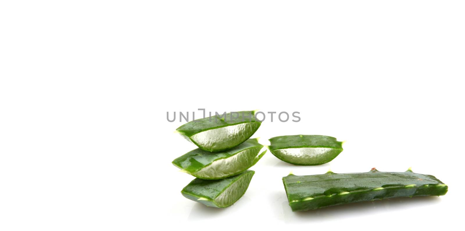 Aloe vera plant isolated on white