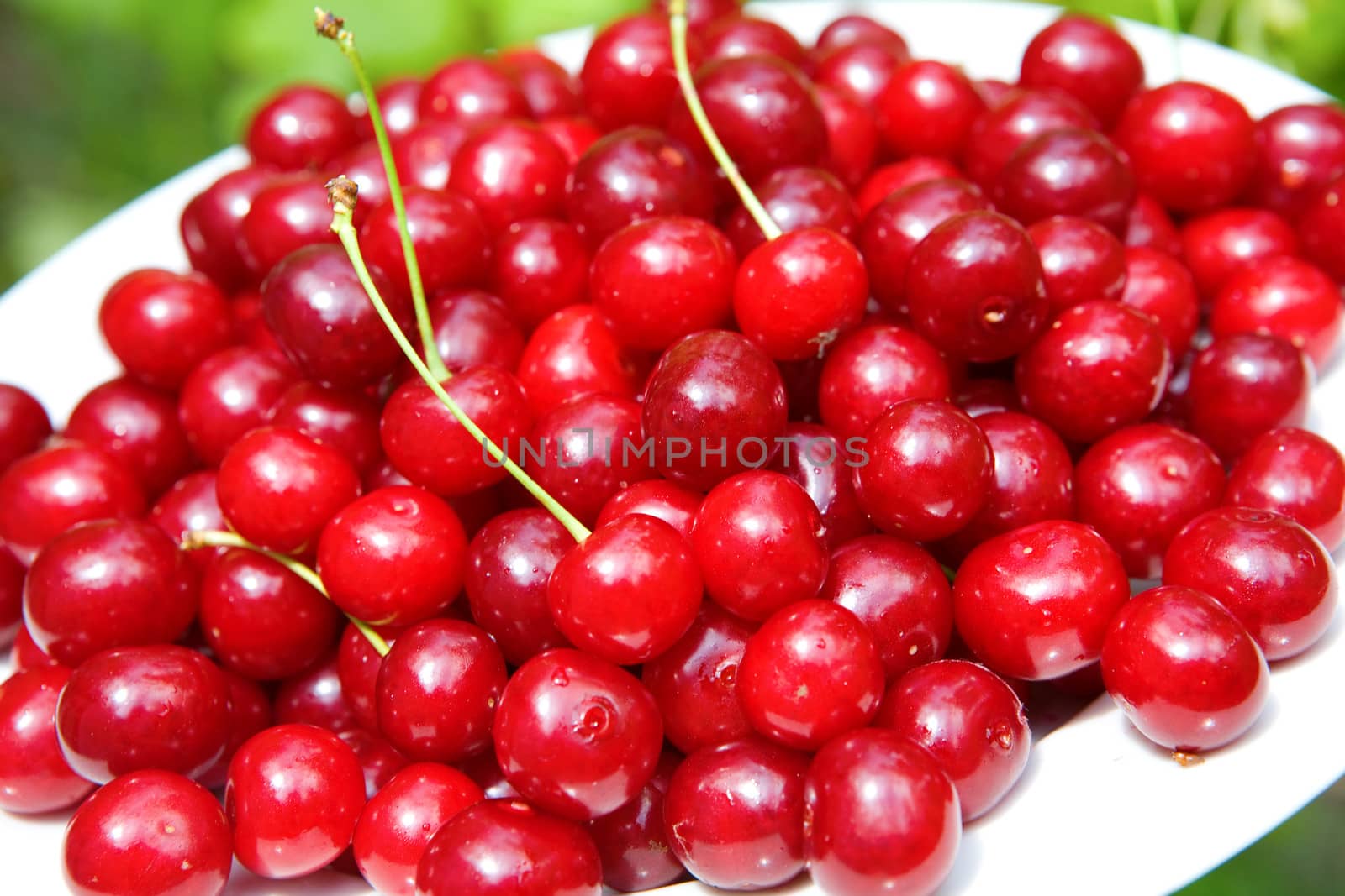 red cherry by vsurkov