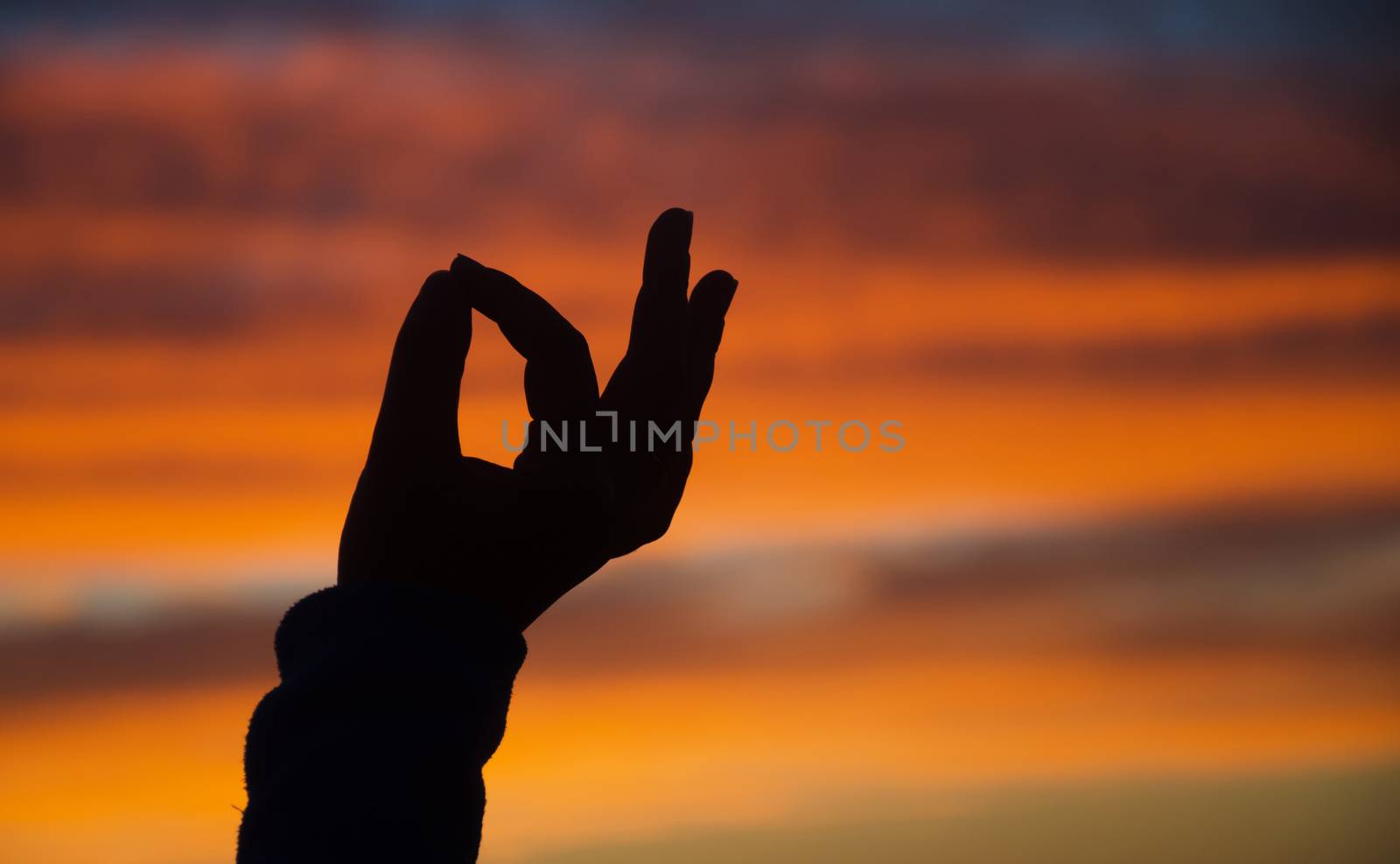 Silhouette of hand in mudra on sunset in Malibu
