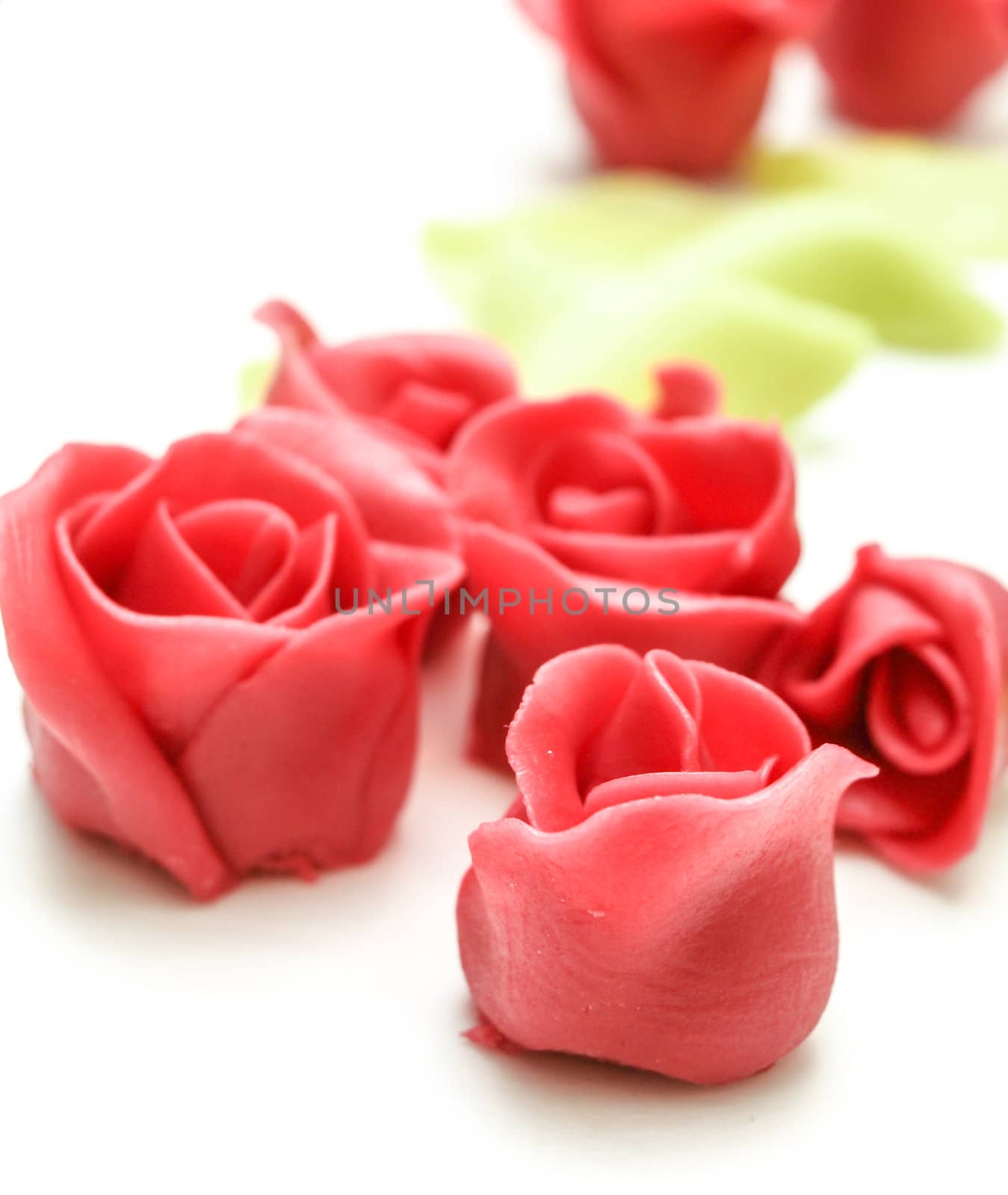 Pink marzipan roses towards white with green petals in the background