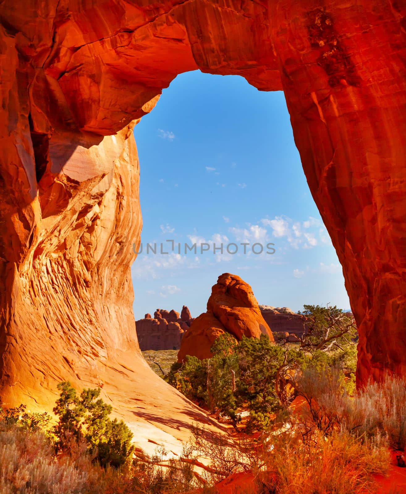 Pine Tree Arch Devils Garden Arches National Park Moab Utah  by bill_perry