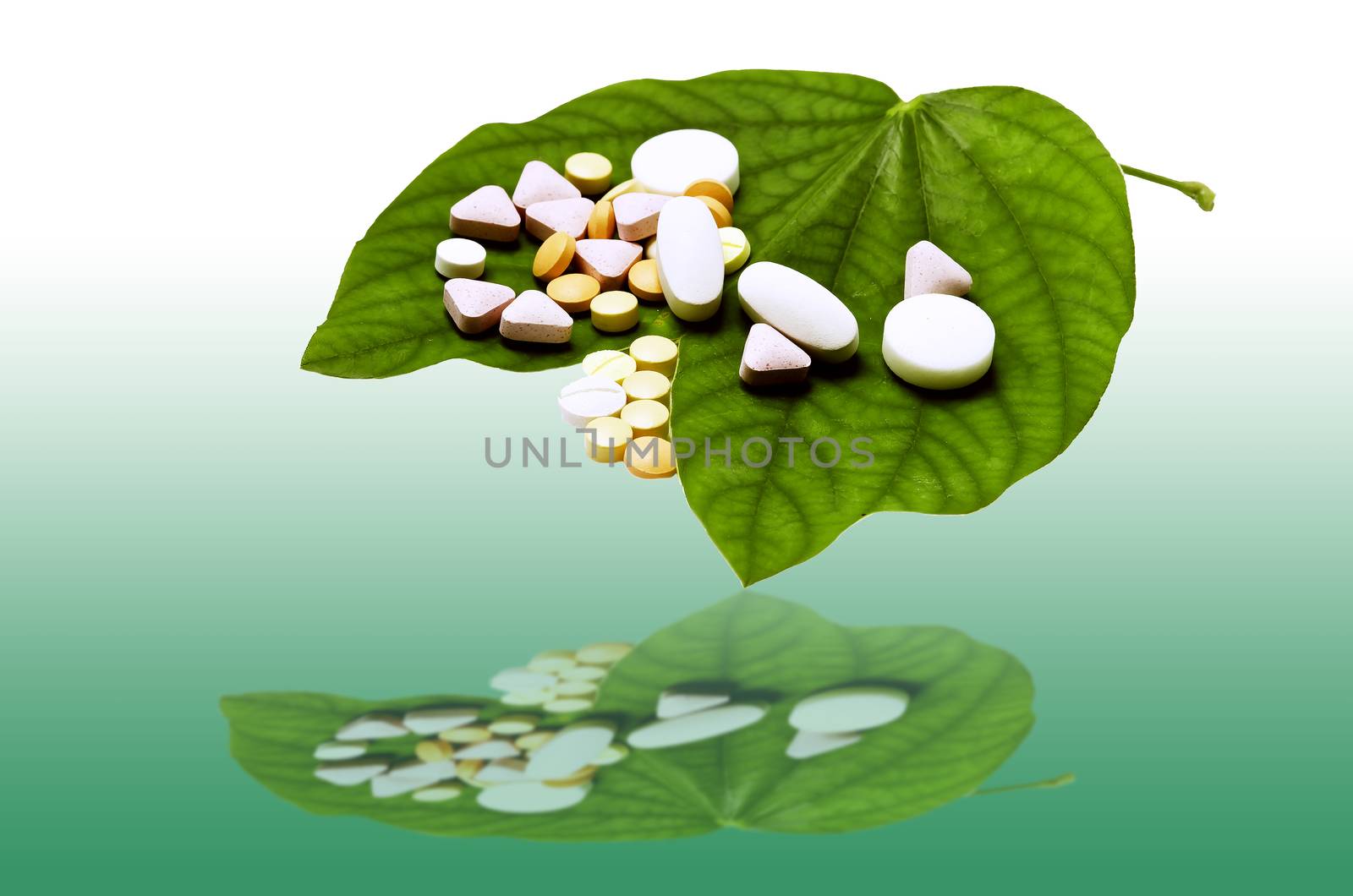 tablets and pills on green leaf