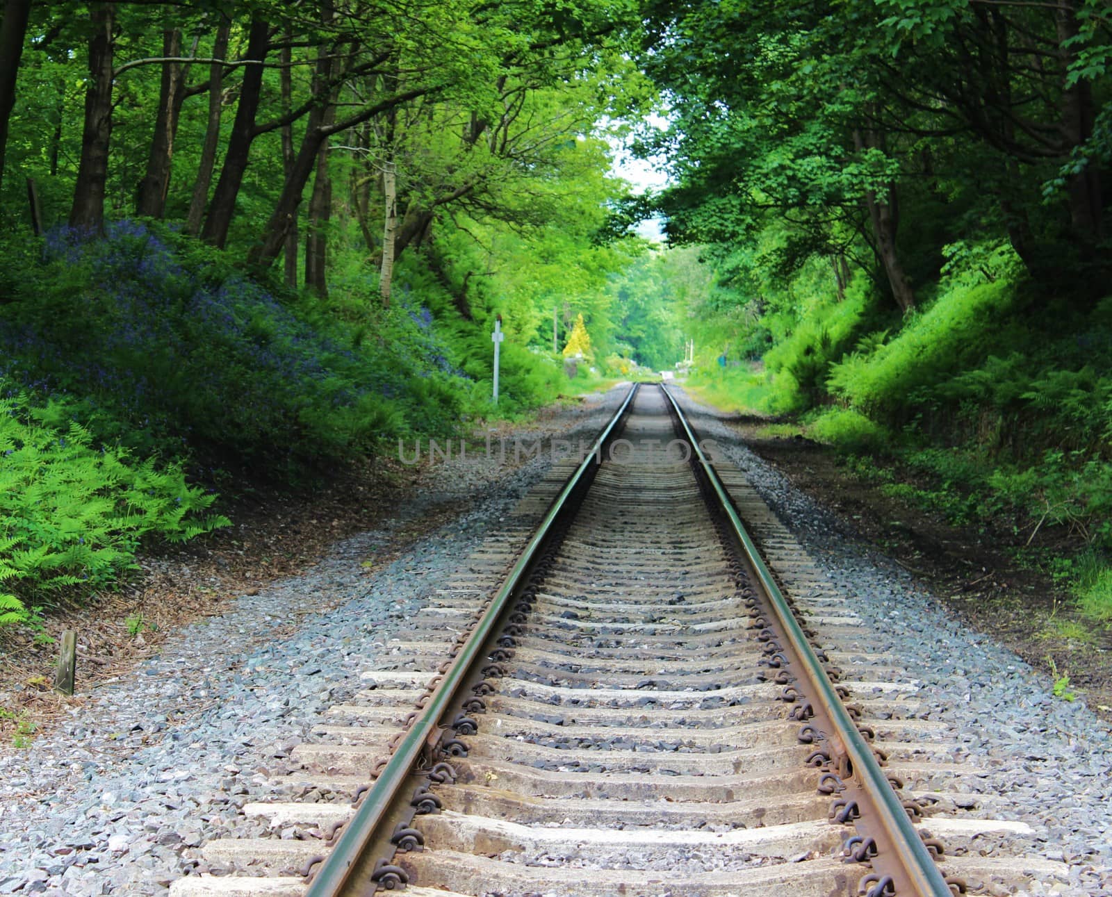 A railway track in the English countryside.