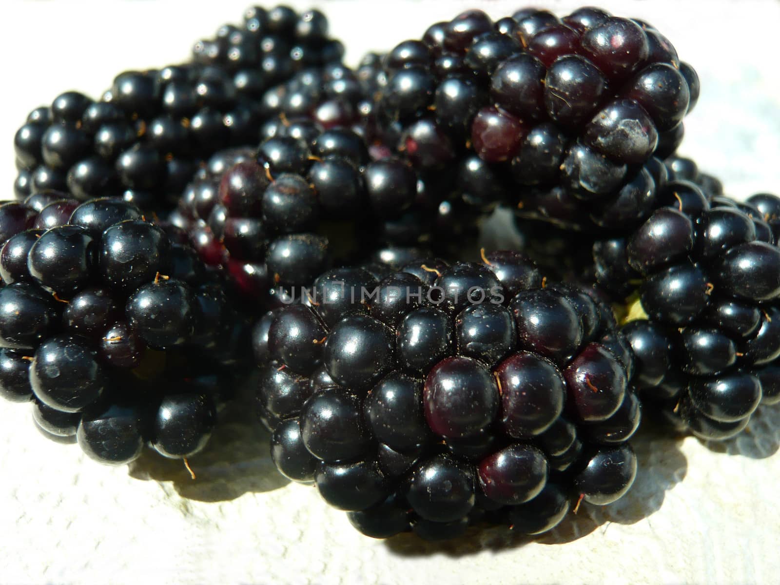 Closeup of fresh blackberries