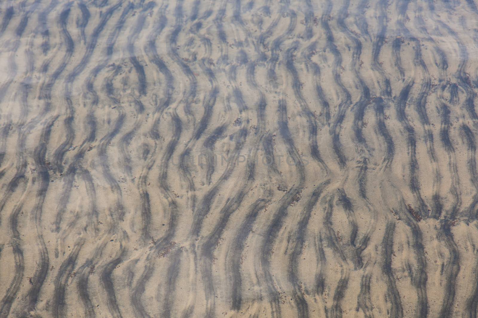 Rippled sand by melastmohican