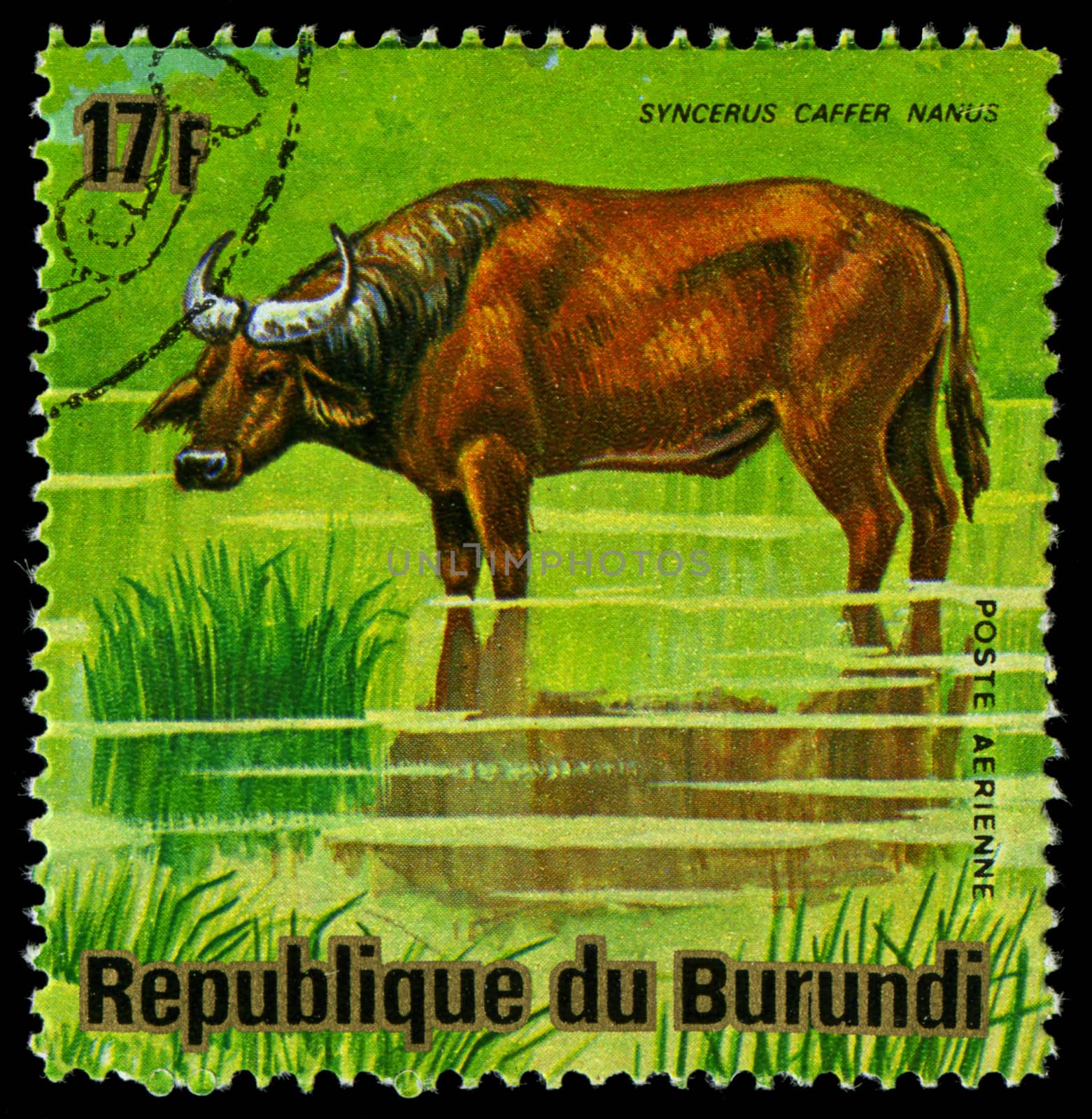 BURUNDI - CIRCA 1964: A stamp printed in Burundi shows a wild animal, circa 1964. by Zhukow