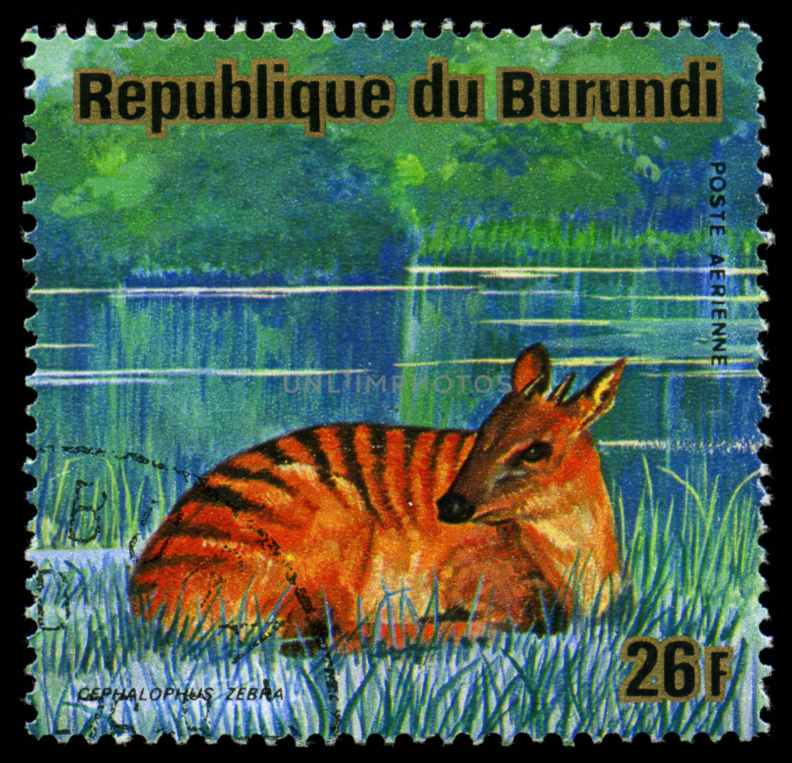 REPUBLIC OF BURUNDI - CIRCA 1976: a postage stamp shows image of the animals of savanna, "cephalophus zebra", circa 1976