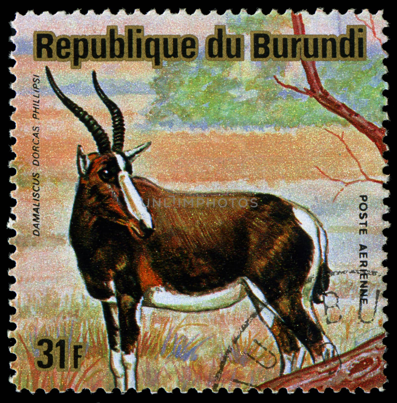 BURUNDI - CIRCA 1964: A stamp printed in Burundi shows a wild animal, circa 1964.