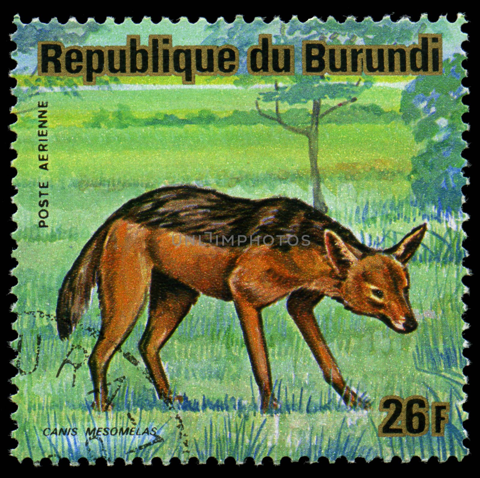 BURUNDI - CIRCA 1964: A stamp printed in Burundi shows a wild animal, circa 1964.