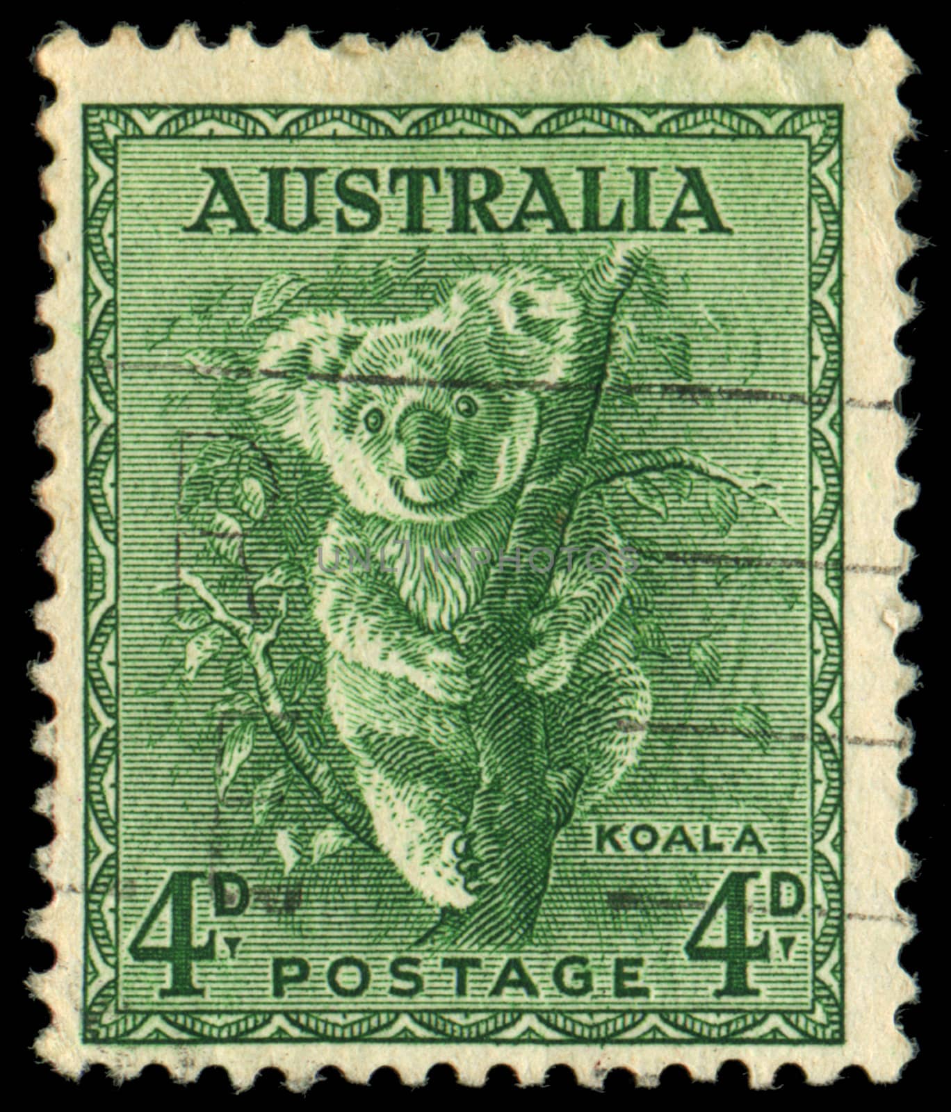 AUSTRALIA - CIRCA 1937: stamp printed by Australia, shows koala, circa 1937